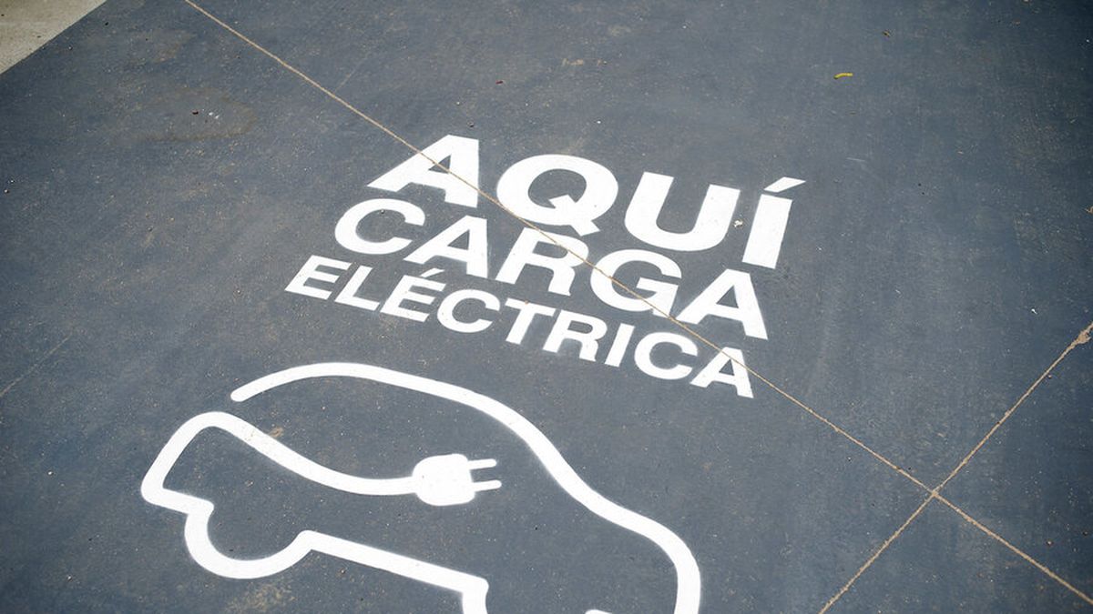 El Poder Ejecutivo promoverá ingreso de vehículos eléctricos para