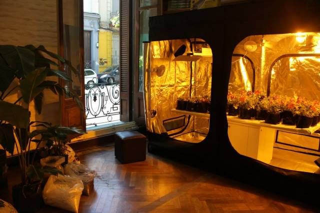 Marihuana growshop