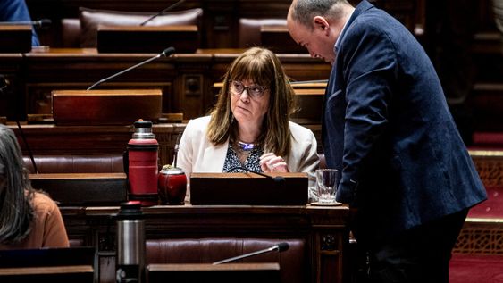 Los diputados Cecilia Cairo y Nicolás Viera, durante la interpelación a la ministra Karina Rando. Foto: Mauricio Zina / adhocFOTOS Los diputados Cecilia Cairo y Nicolás Viera, durante la interpelación a la ministra Karina Rando. Foto: Mauricio Zina / adhocFOTOS