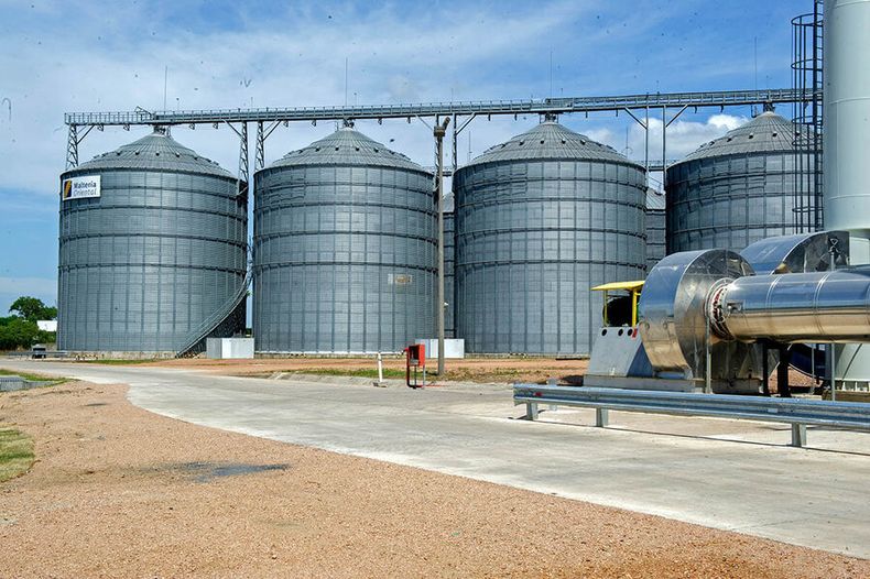 En noviembre de 2022 Maltería Oriental inauguró sus nuevas torres de malteo. Foto: Presidencia