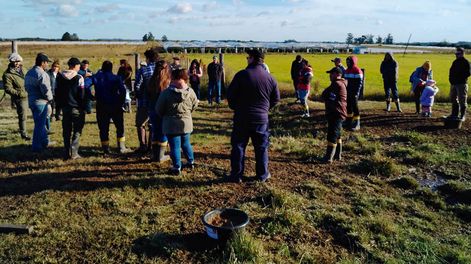 En el período 2020-2024 en los Proyectos Senda se involucró a 15 agentes territoriales de desarrollo rural y 419 personas participantes