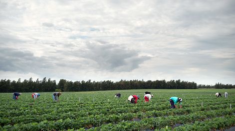 El desempleo se ubica en niveles de dos dígitos en seis departamentos del interior