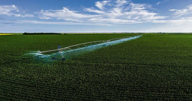 Sistema de riego para agricultura. Foto: Agro de Búsqueda