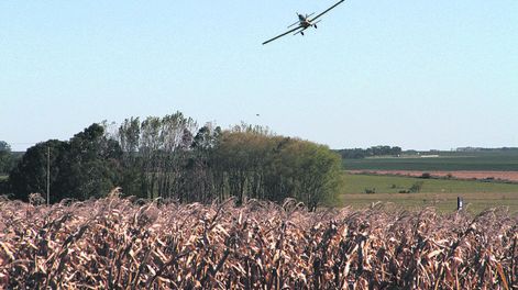 imagen de Denuncias por mal uso de agroquímicos contribuyó a “romper” la “invisibilidad” de las mujeres rurales, según investigación