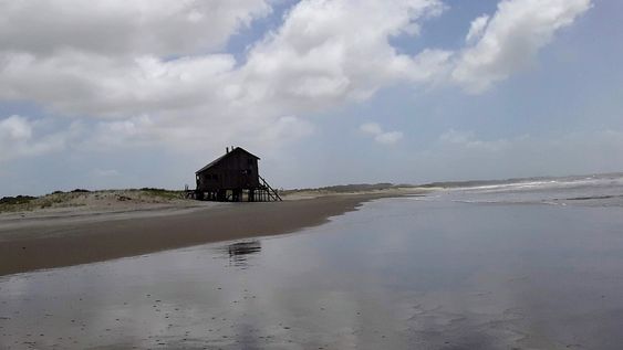 las olas, el viento y un pescado rabioso las olas, el viento y un pescado rabioso