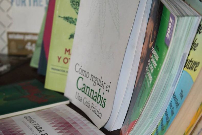 imagen de Cancillería despliega su diplomacia para defender la ley de marihuana