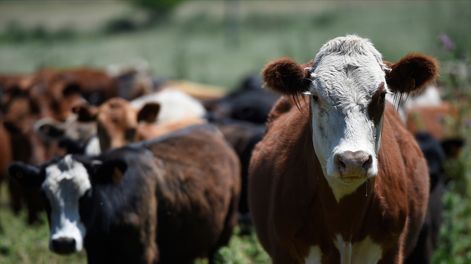 La actividad económica crecería este año 2,30%, según la mediana de las proyecciones de los analistas.