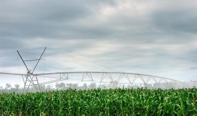 Para Arana emitir resoluciones de autorizacion de agua para riego en condicional con una duracion de 10 anos “no parece lo mas razonable”