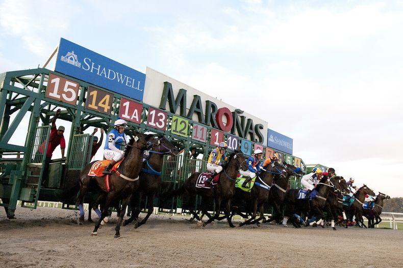 La sociedad explotadora del Hipódromo de Maroñas regresa al mercado bursátil