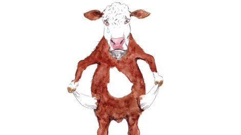 La semana vista por Junior