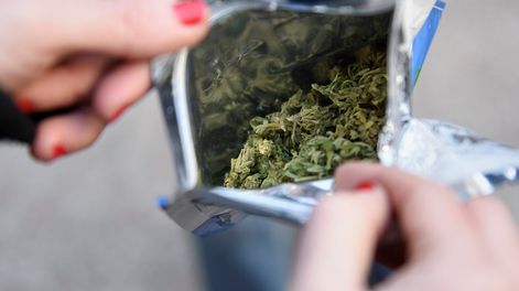 Las farmacias comenzaron a vender marihuana en bolsas de cinco gramos el 19 de julio de 2017