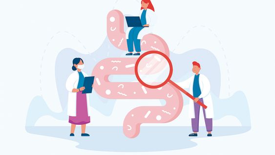 ¿el sibo esta de moda? ¿el sibo esta de moda?