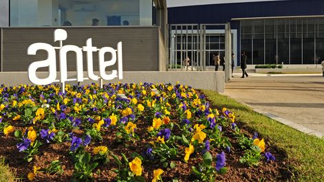 imagen de Antel busca expandir sus actividades en la región ofreciendo servicios de conectividad, almacenamiento y asesoría a empresas