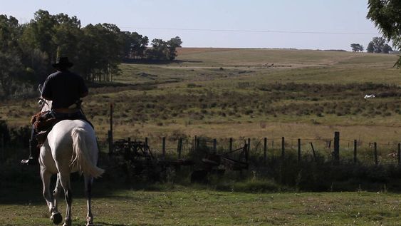 imagen de Aumentaron las transferencias al agro desde el Estado o el consumidor, según estudio realizado por la Opypa y el BID imagen de Aumentaron las transferencias al agro desde el Estado o el consumidor, según estudio realizado por la Opypa y el BID