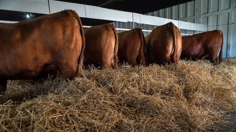 Foto: Ricardo Antúnez / adhocFOTOS