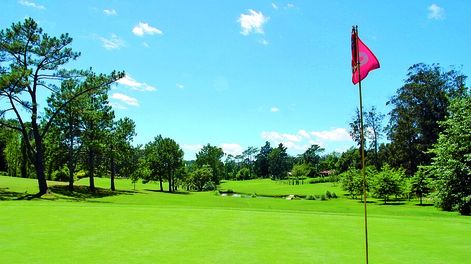 imagen de Comienza este fin de semana en el Cantegril Country Club  de Punta del Este la X disputa de la Copa Master Galería