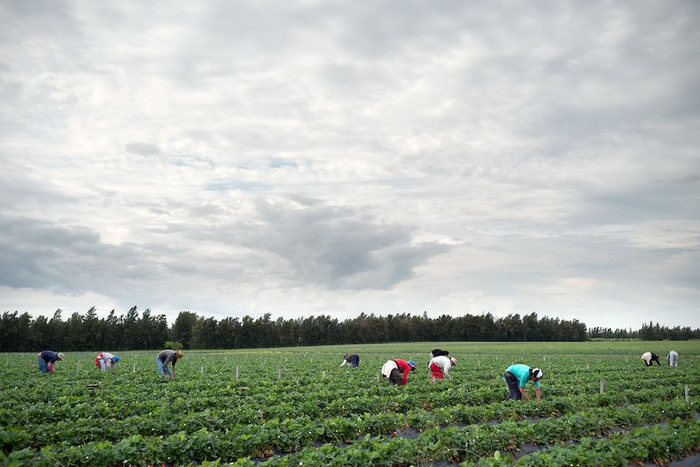 El desempleo se ubica en niveles de dos dígitos en seis departamentos del interior