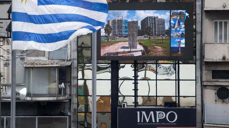 imagen de Impo tiene más de medio edificio vacío y unidades arrendadas con contratos vencidos hace 40 años