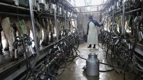 Tambo en el departamento de Colonia. Nicolás Celaya / adhocFOTOS