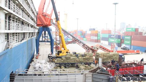 imagen de Fiscalía de Delitos Económicos investiga posibles pagos indebidos a algunos funcionarios del MGAP y citó a declarar a sus jerarcas