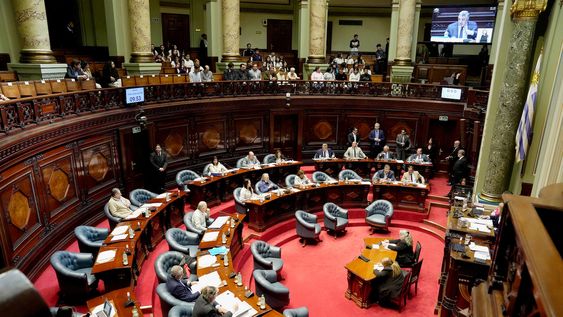 Cámara de Senadores durante la discusión del proyecto de ley que regula los ingresos a las intendencias, martes 14. Cámara de Senadores durante la discusión del proyecto de ley que regula los ingresos a las intendencias, martes 14.