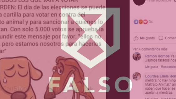 imagen de Es falso que exista una papeleta para sancionar el maltrato animal imagen de Es falso que exista una papeleta para sancionar el maltrato animal