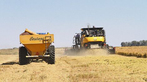 Un tractor realizando trabajos en un campo. Foto: Nicolás Der Agopián