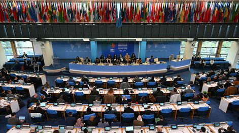 Una vista general muestra a los delegados en la sala plenaria durante la conferencia sobre biodiversidad COP16 en Roma, el 25 de febrero de 2025.