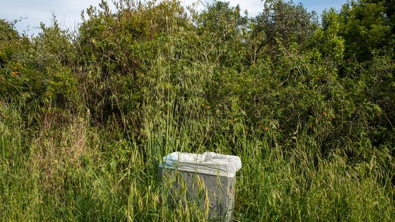 El análisis del gobierno sugiere enfocar la iniciativa en microáreas de Montevideo.