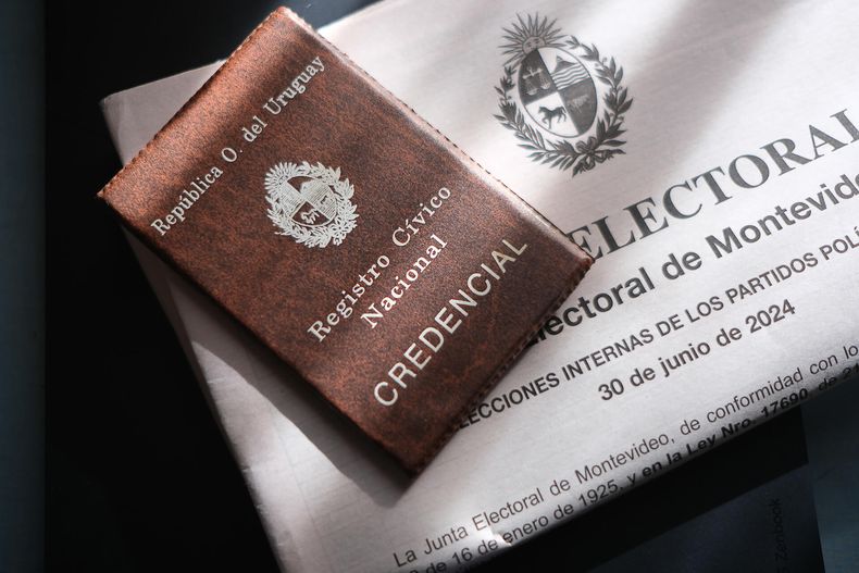 Plan circuital de las elecciones internas 2024 y credencial cívica.&nbsp;