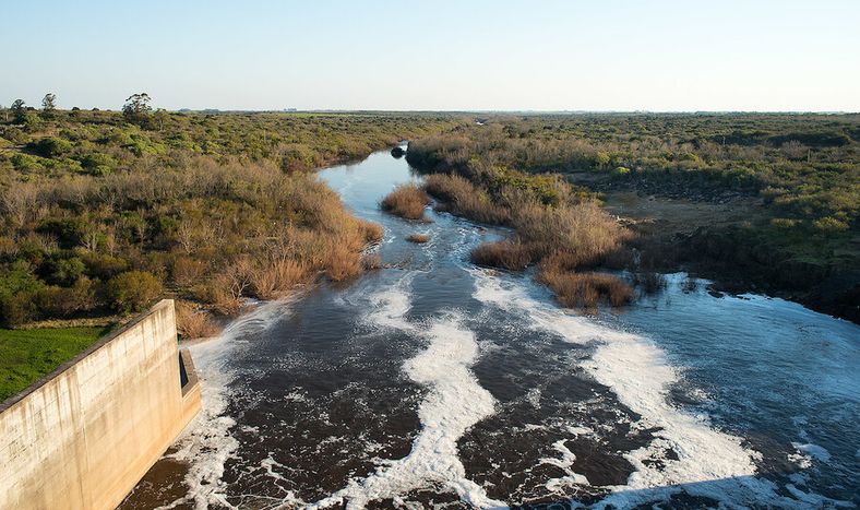 Foto: Ricardo Antúnez / adhocFOTOS