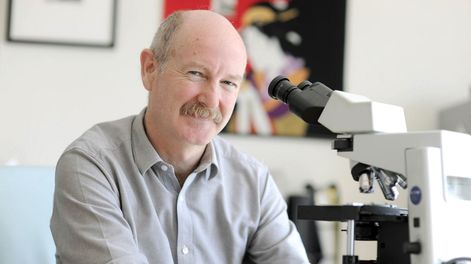 Búsqueda | Rafael-Yuste.jpeg