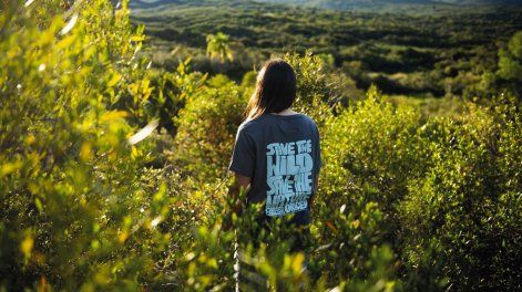 Búsqueda | glassy waves 3