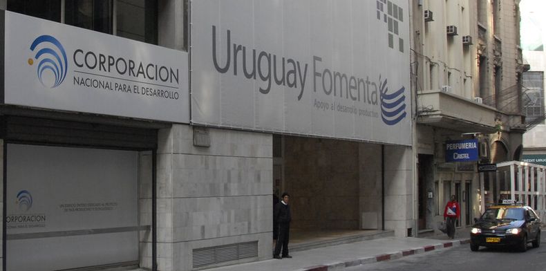 imagen de La Corporación para el Desarrollo incrementó sus ganancias año tras año