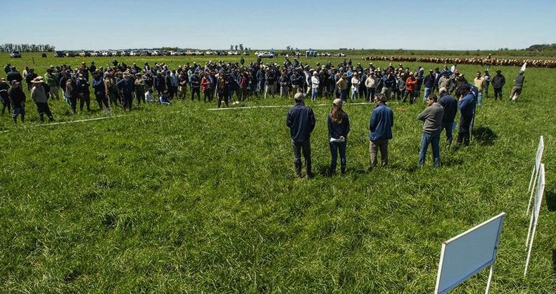La Querencia, de Stolovas, recibió la jornada Pasturas de PGG Wrightson Seeds