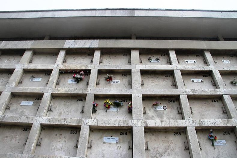 imagen de La IMM inició un sumario a seis funcionarios por irregularidades en cementerio
