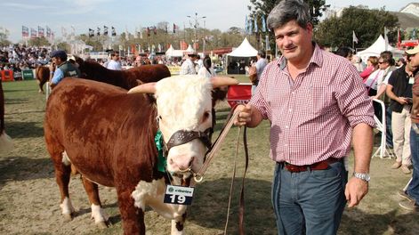 imagen de La ganadería “ganó por abandono” de la producción de granos y ahora tiene por delante un “espacio grande” para crecer