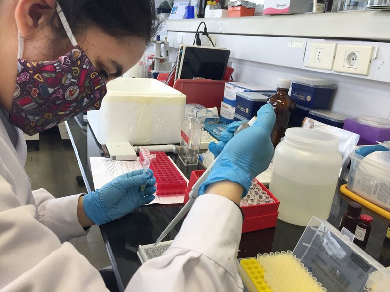 Para detectar los anticuerpos usan parte de la proteína “spike”, la que le da aspecto de corona al coronavirus. Foto: Nicolás Der Agopián