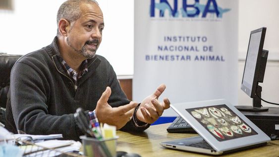 Gastón Cossia. Foto: Nicolás Garrido / Búsqueda Gastón Cossia. Foto: Nicolás Garrido / Búsqueda