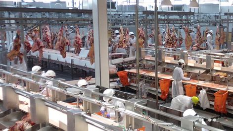 Foto: www.bpumeat.com