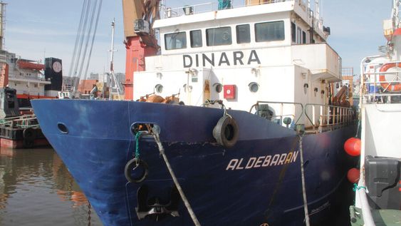 imagen de El director de la Dinara dice que es propio de una “imaginación casi kafkiana” pensar que la Udelar no puede investigar a UPM imagen de El director de la Dinara dice que es propio de una “imaginación casi kafkiana” pensar que la Udelar no puede investigar a UPM