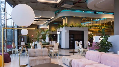 Búsqueda | Fotos: Limón fotografía.