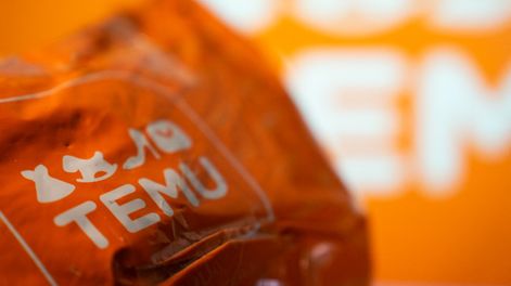 Una compra a través de la platafoma Temu.&nbsp;