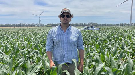 El asesor agrícola Gonzalo Sciarra