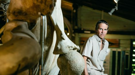 Búsqueda | MAU_1590.JPG