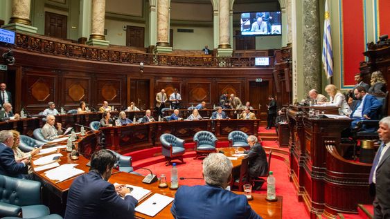 oficialismo y oposicion acordaron crear comision bicameral para investigar compra de opv desde el 2010 al 2026 oficialismo y oposicion acordaron crear comision bicameral para investigar compra de opv desde el 2010 al 2026