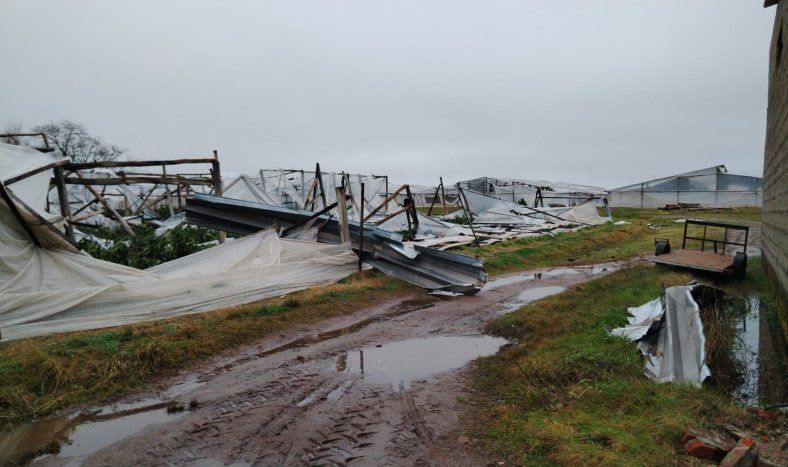 El temporal del pasado 18 de julio, en Salto, arrasó con infraestructuras de productores hortifrutícolas.