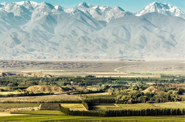 Valle de Colchagua, Chile. 