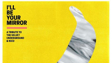 Búsqueda | 74515.jpeg