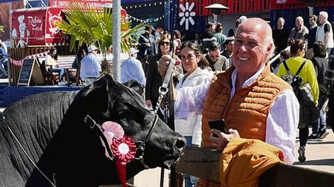 López Mato con el reproductor de su cabaña premiado en la Expo Prado. Foto: Agro de Búsqueda
